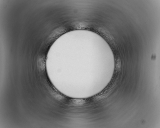 X0000096180719200802151441