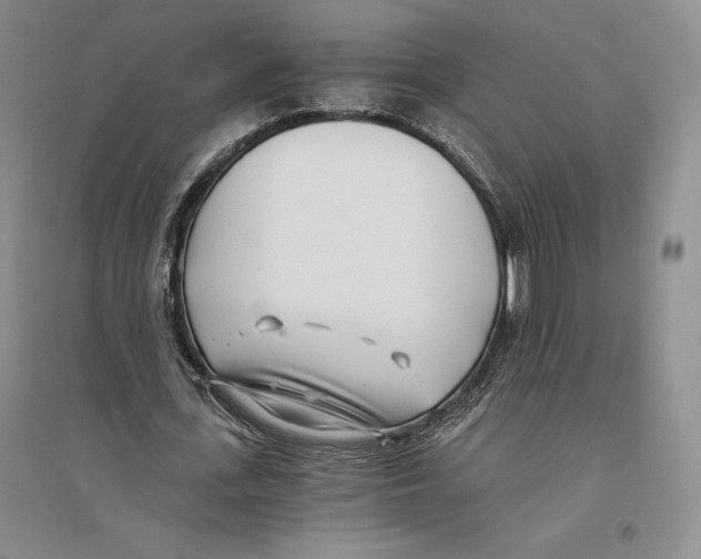 X0000096180723200802151440