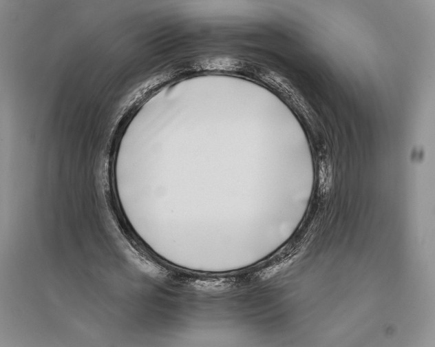 X0000096180725200802151440