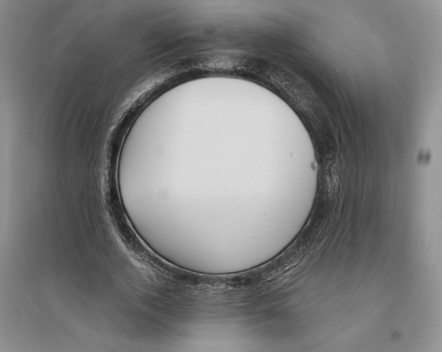 X0000096180728200802151440