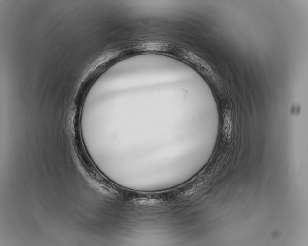 X0000096180730200802151440