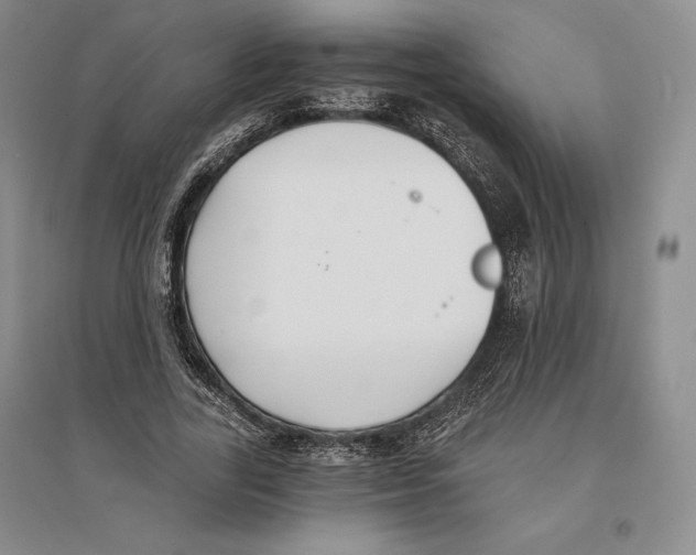 X0000096180731200802151440