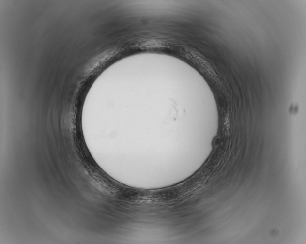 X0000096180732200802151440