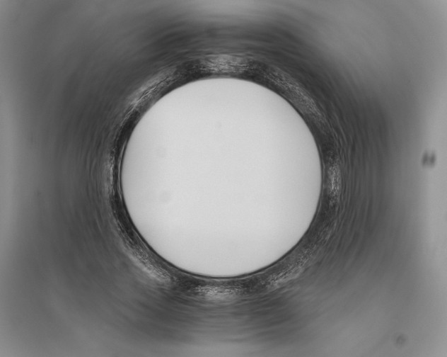 X0000096180733200802151440