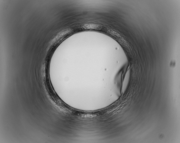 X0000096180734200802151440