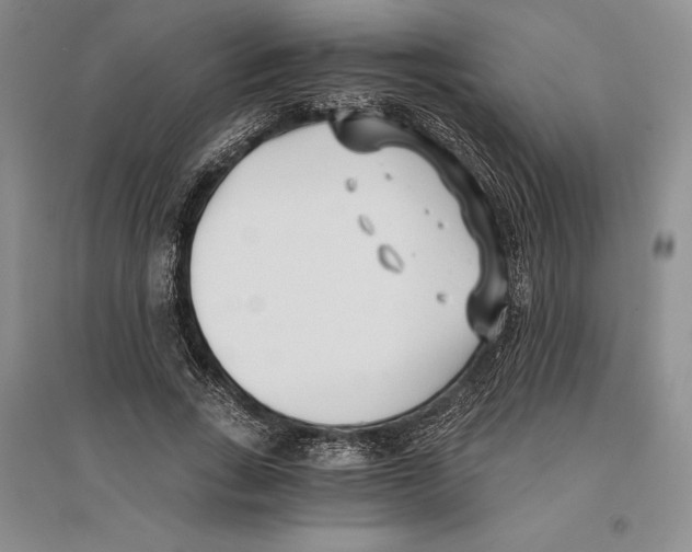 X0000096180735200802151441