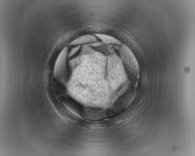 X0000096180736200802151441