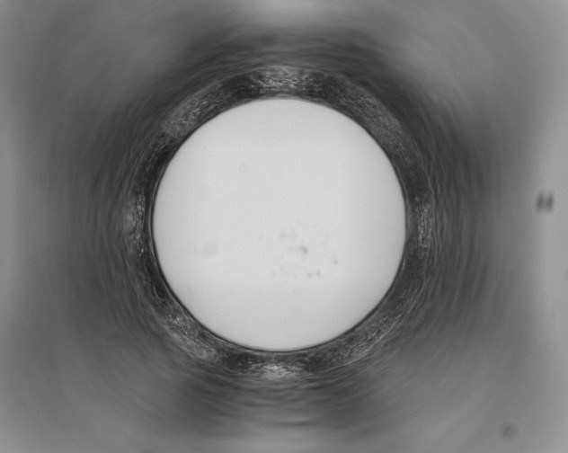 X0000096180737200802151441