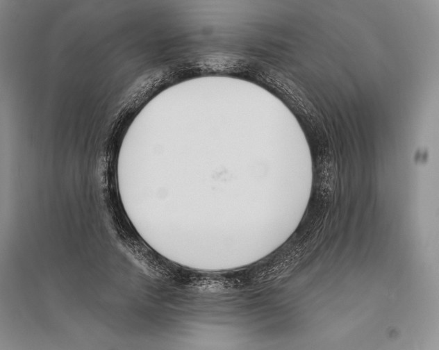 X0000096180738200802151441