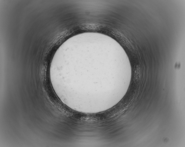 X0000096180739200802151441
