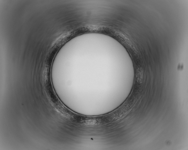 X0000096180740200802151441