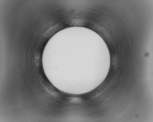 X0000096180741200802151441
