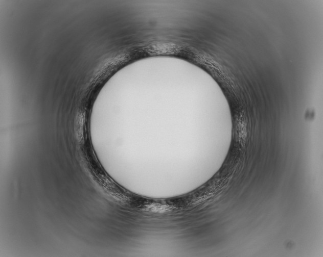 X0000096180742200802151441