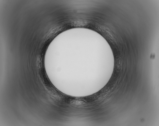 X0000096180743200802151441