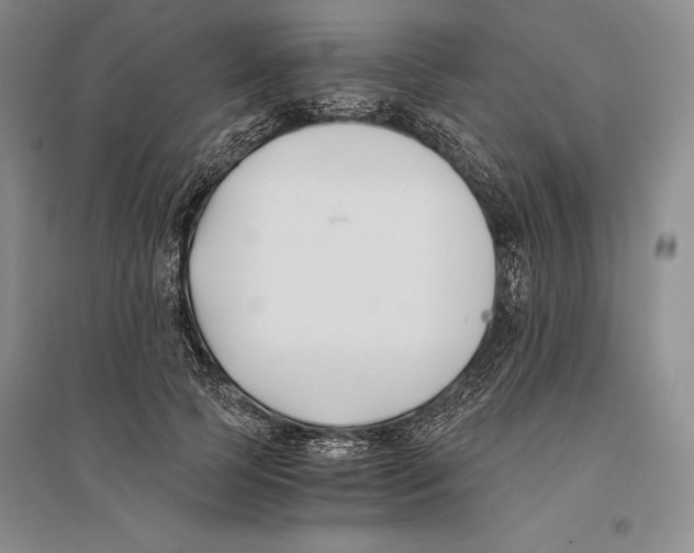 X0000096180745200802151441