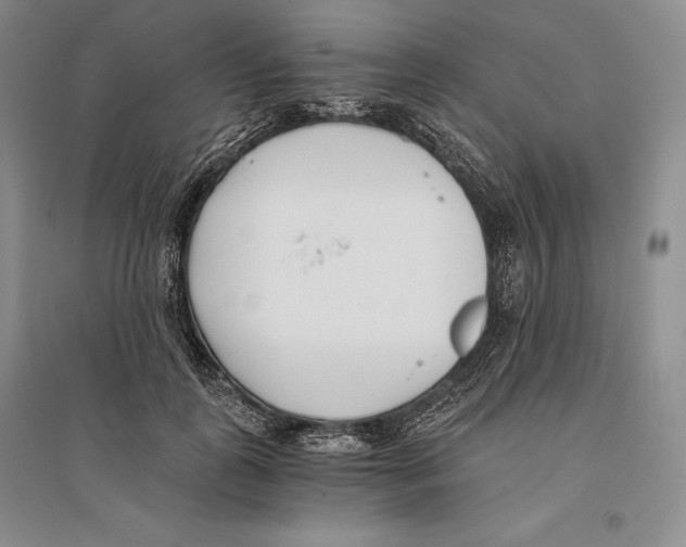X0000096180747200802151441