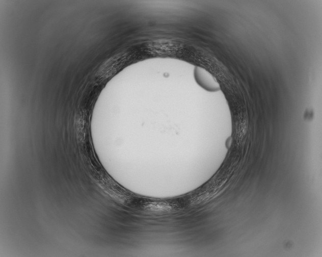 X0000096180749200802151441