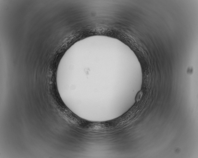 X0000096180750200802151441