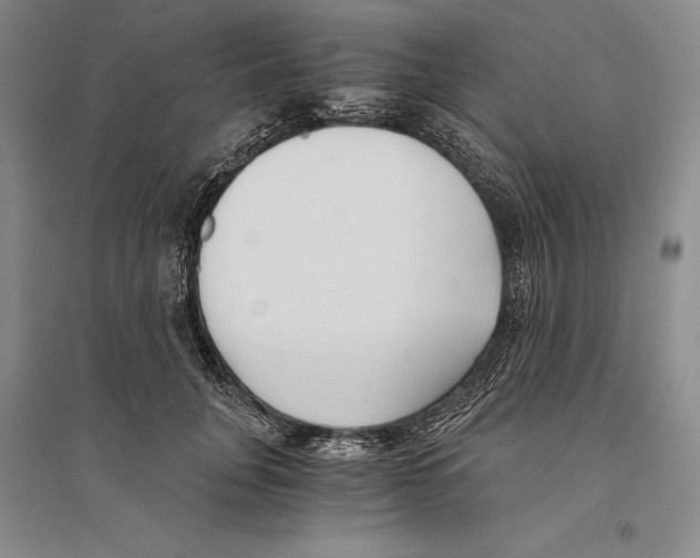 X0000096180751200802151441