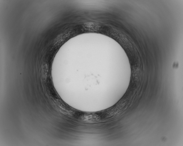 X0000096180752200802151441
