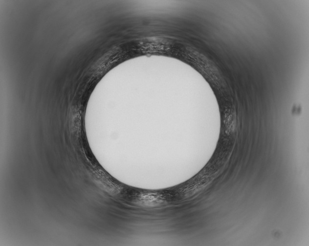 X0000096180753200802151441