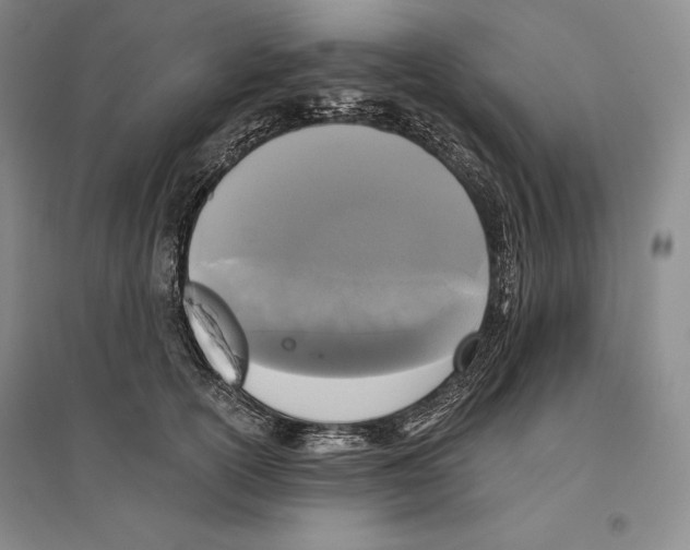 X0000096180754200802151441