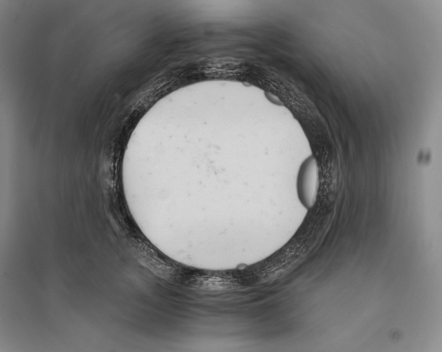X0000096180755200802151441