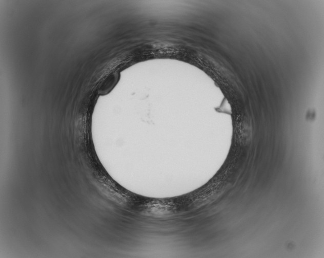 X0000096180756200802151441