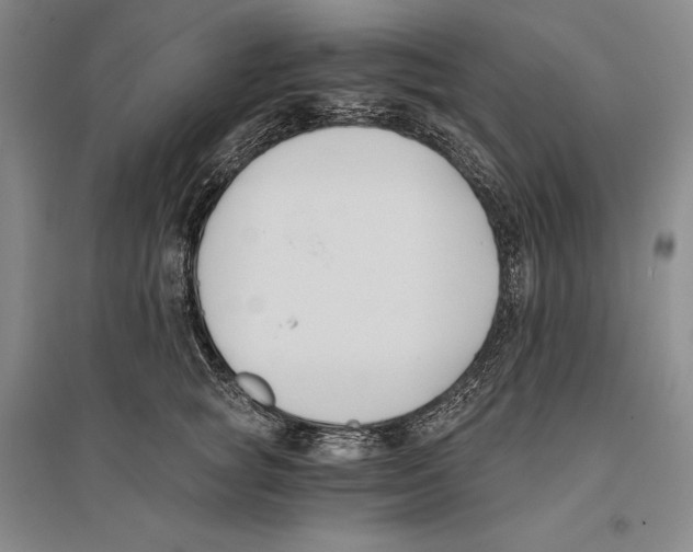 X0000096180757200802151441