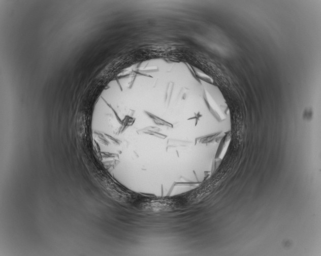 X0000096180758200802151441