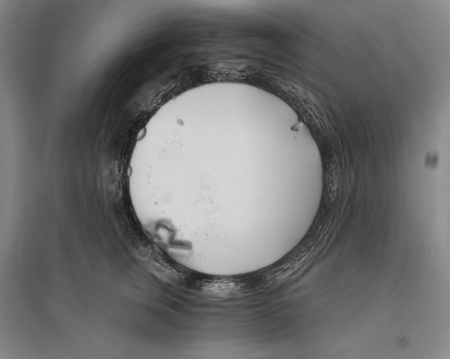 X0000096180759200802151441