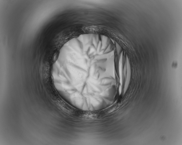 X0000096180760200802151441