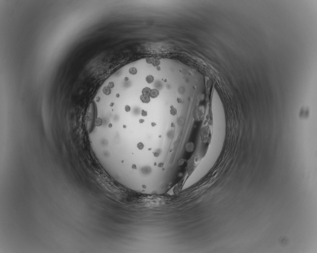 X0000096180762200802151441