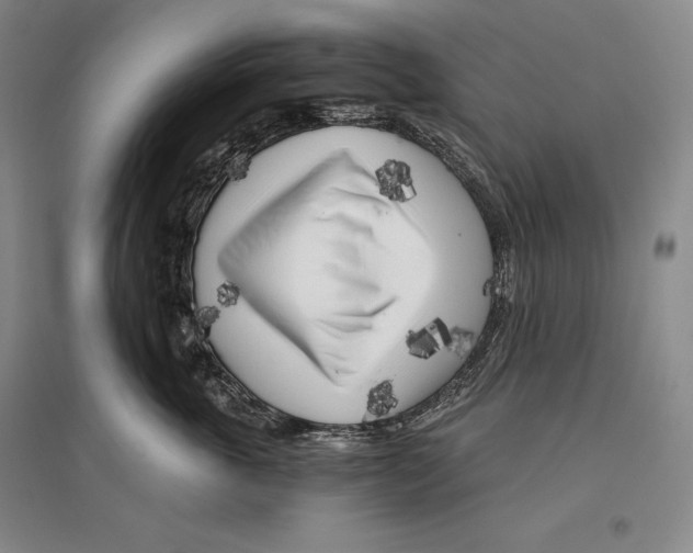 X0000096180763200802151441