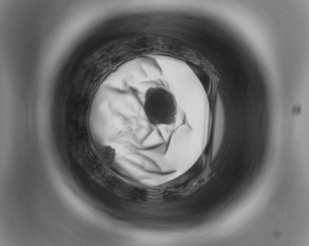 X0000096180766200802151441