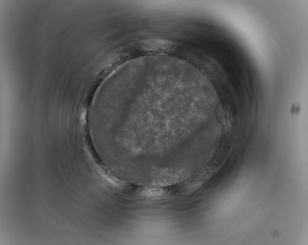 X0000096180767200802151441