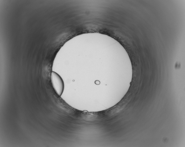 X0000096180768200802151441