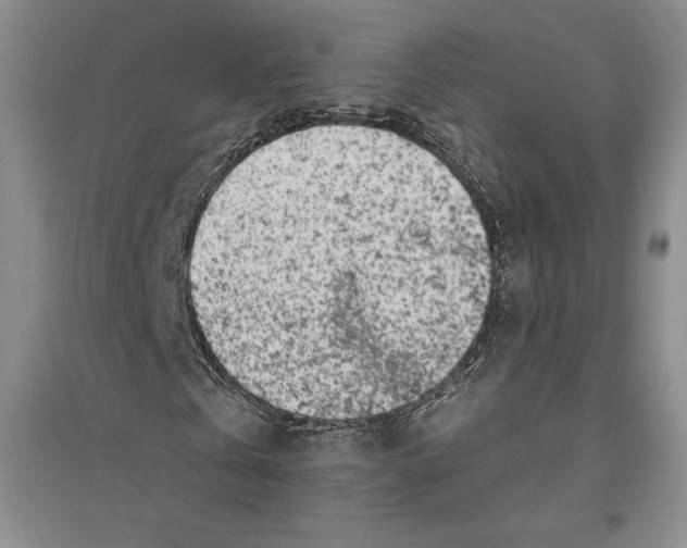 X0000096180769200802151440