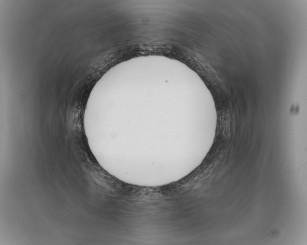 X0000096180770200802151440