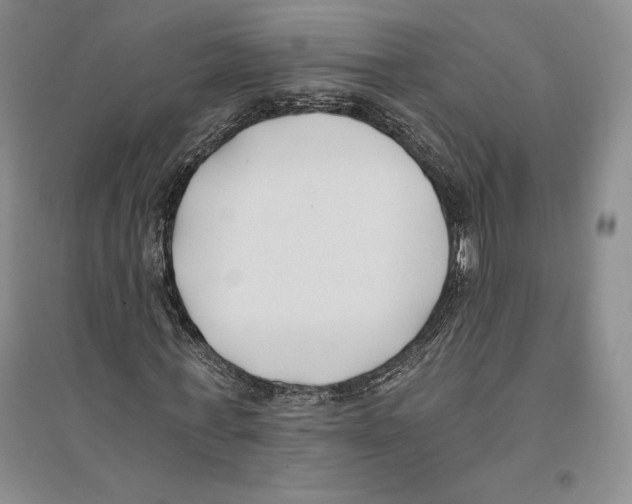 X0000096180771200802151440