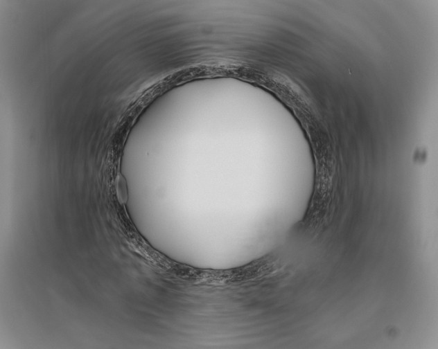 X0000096180773200802151440