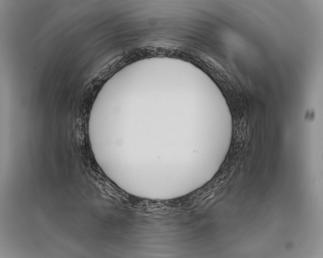 X0000096180774200802151440