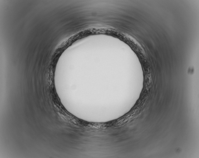 X0000096180775200802151440