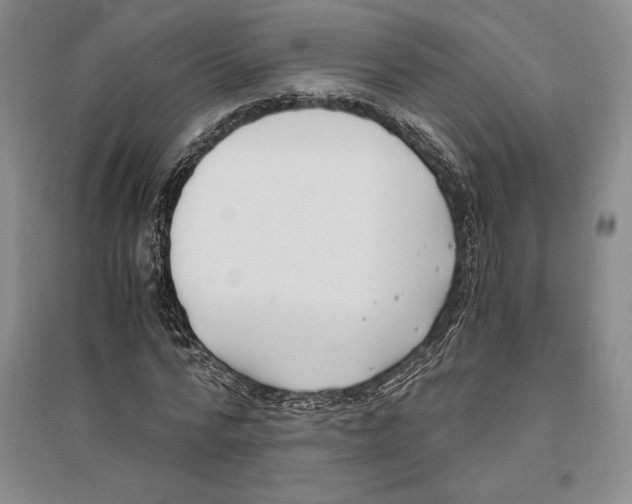 X0000096180776200802151440