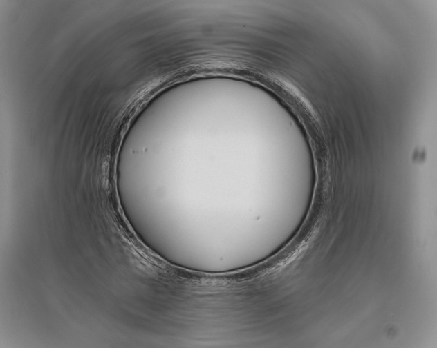 X0000096180777200802151440