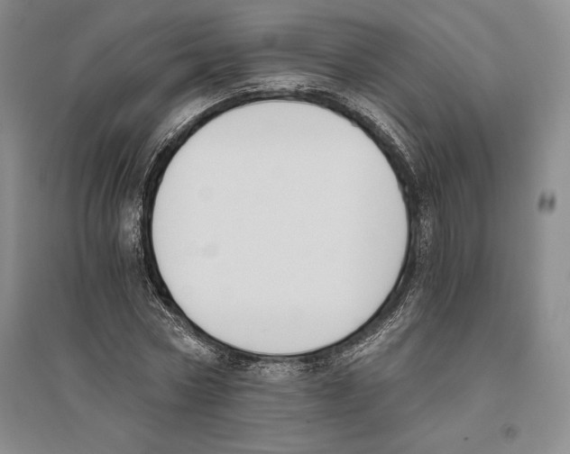 X0000096180778200802151440