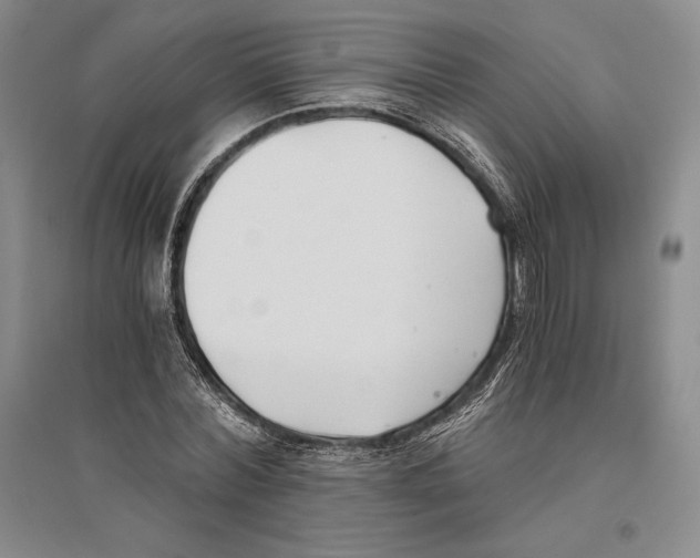X0000096180780200802151440