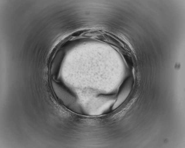 X0000096180781200802151440