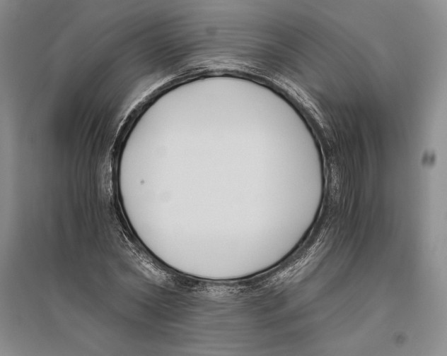 X0000096180782200802151440