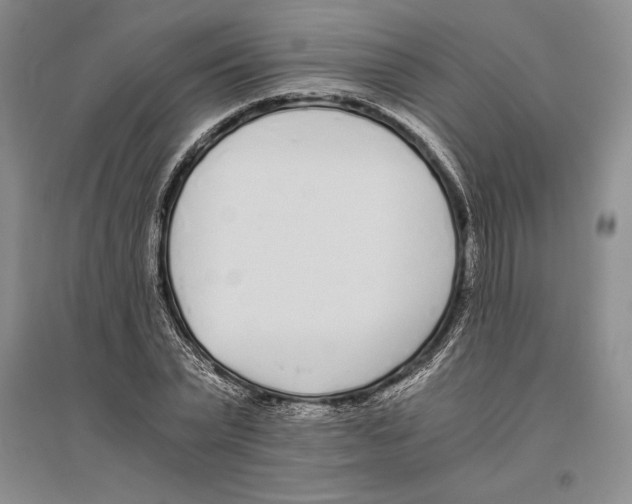 X0000096180783200802151440